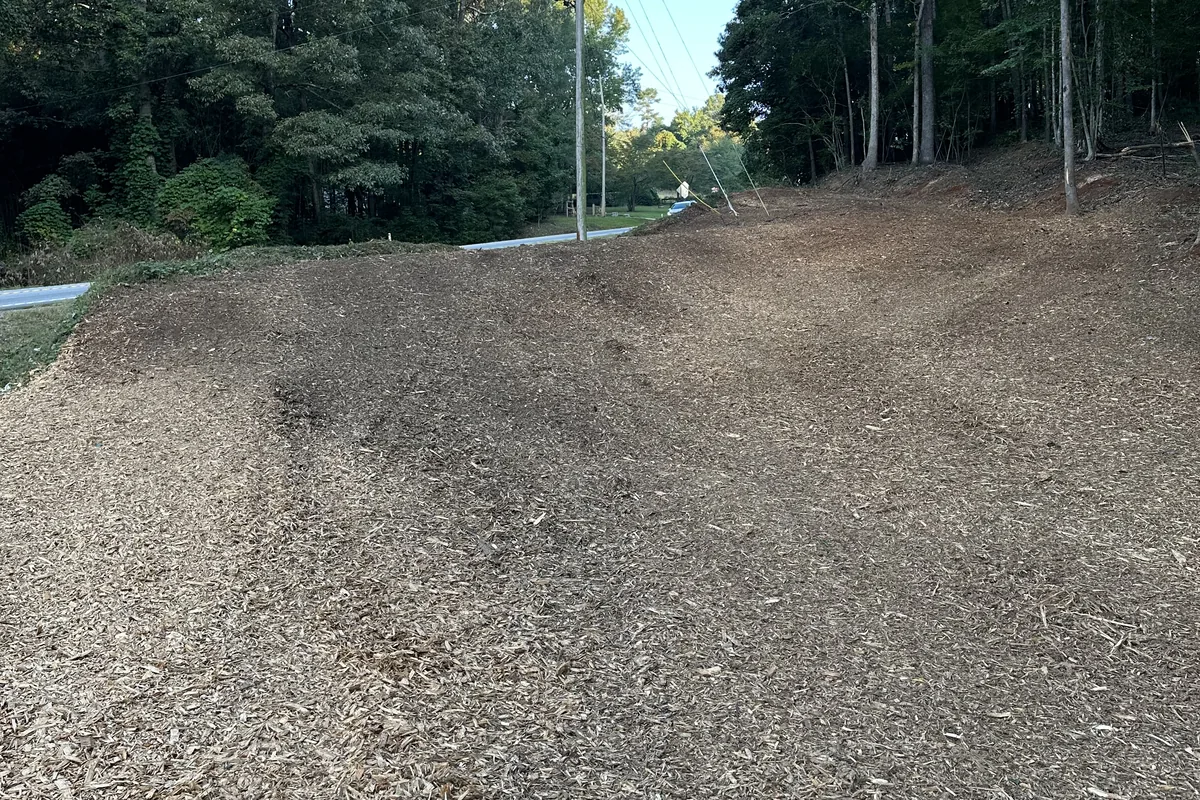 Hillside beside a Georgia road covered in an even layer of wood chips after forestry mulching, with trees kept along the edges