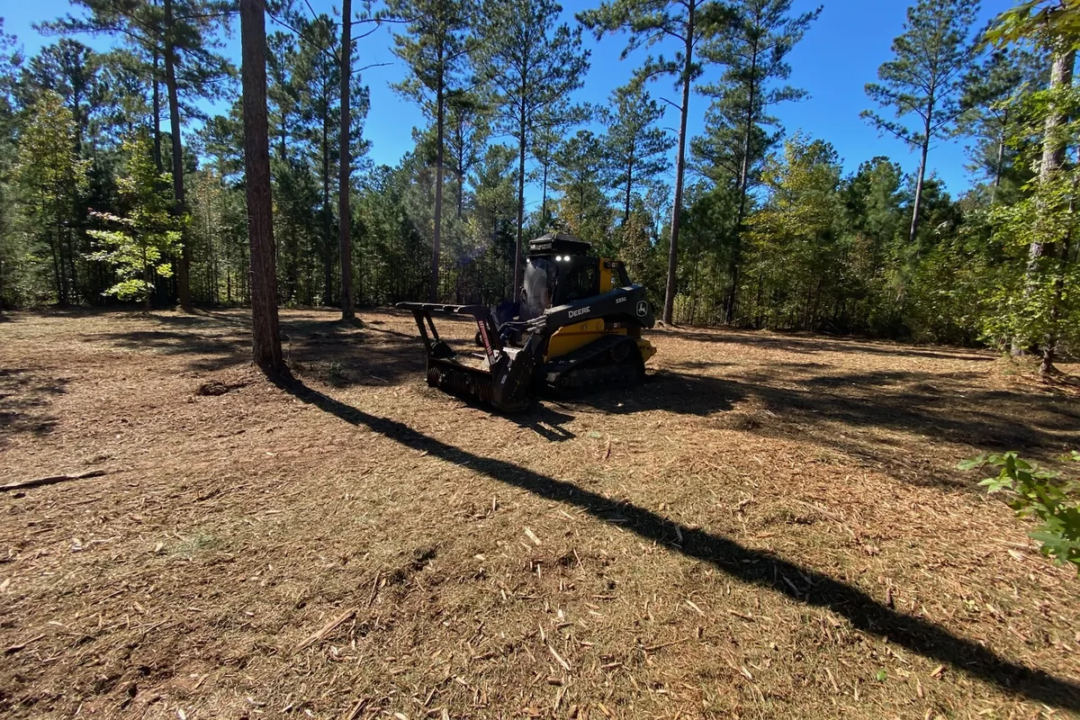 Tracked skid steer with a forestry mulching head on freshly mulched ground among tall pines